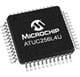 Microchip Technology ATUC256L4U-AUT